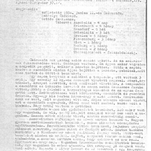 Kőrösmező 1941-ben (Forrás: Fortepan/Gyöngyi)
